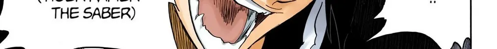 Bleach (Colored) Chapter 333 page 14 - 