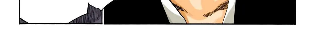 Bleach (Colored) Chapter 341 page 24 - 