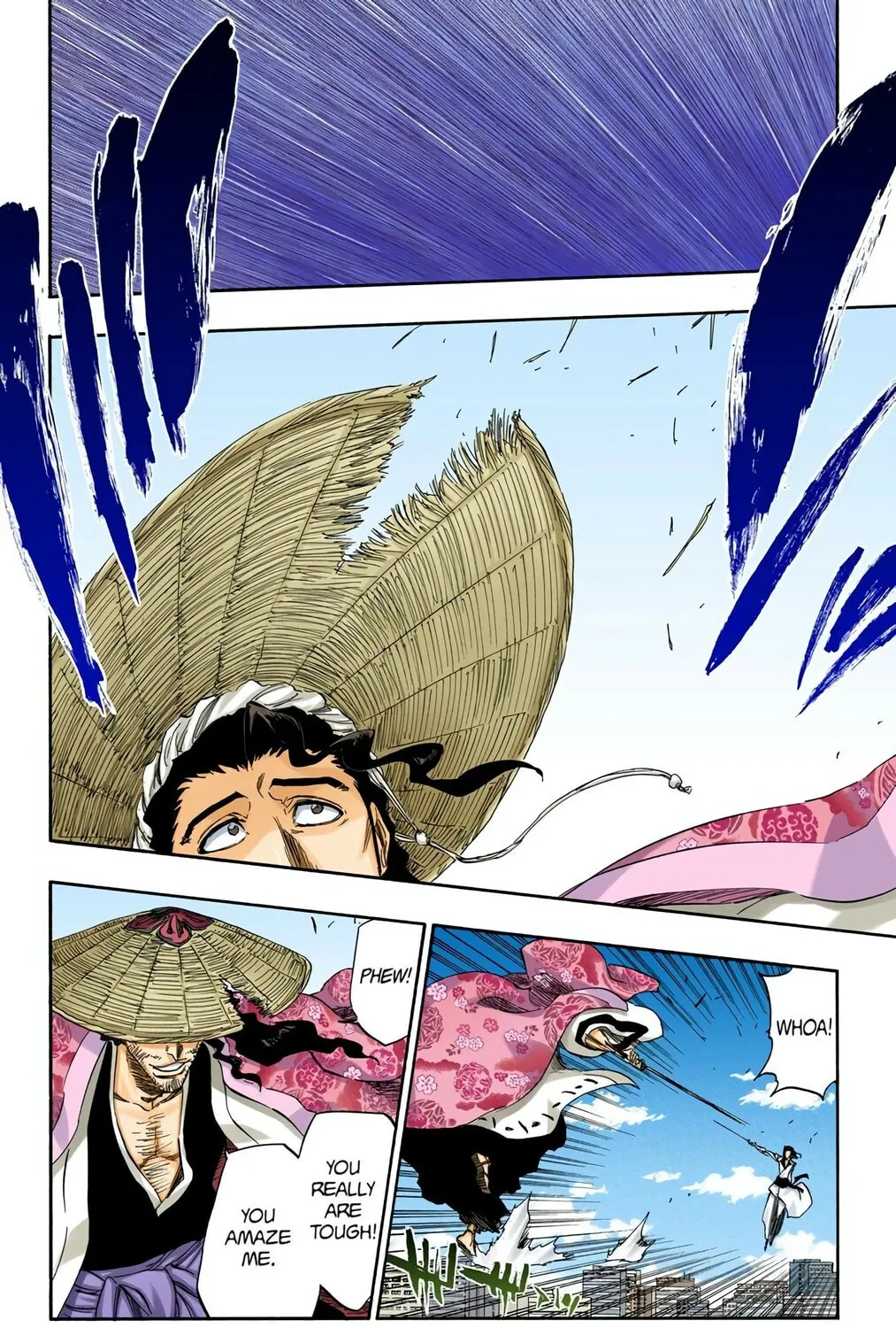 Bleach (Colored) Chapter 355 page 5 - 