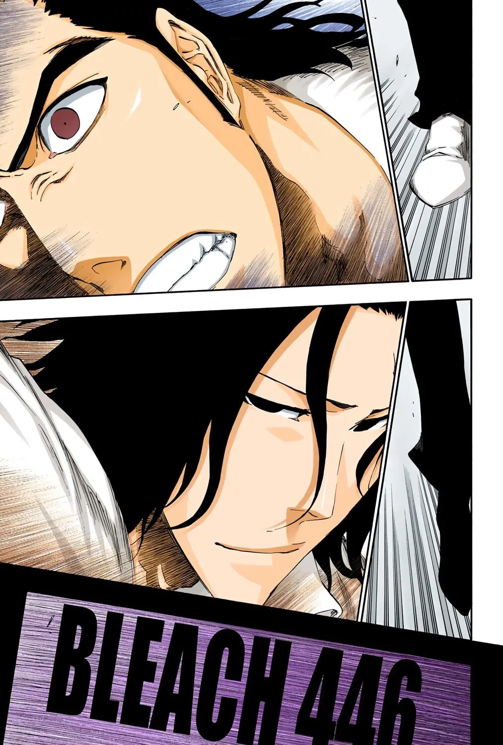 Bleach (Colored) Chapter 446 page 13 - 