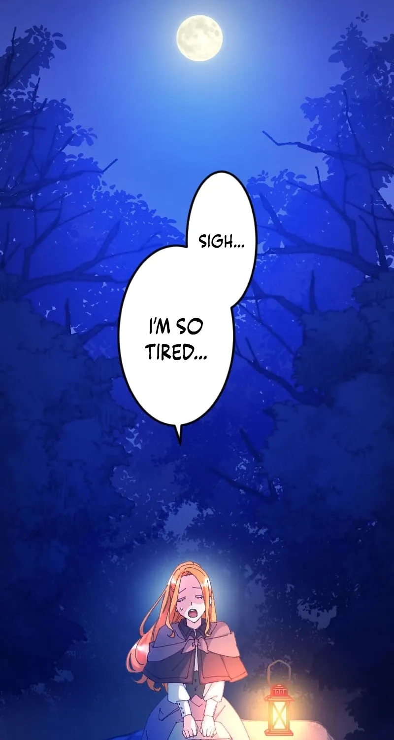 Blessed by Fate, Defiant in Love Chapter 12 page 65 - 