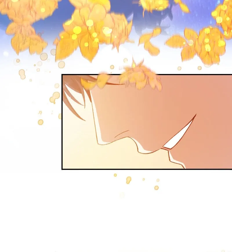 Blessed by Fate, Defiant in Love Chapter 31 page 66 - 
