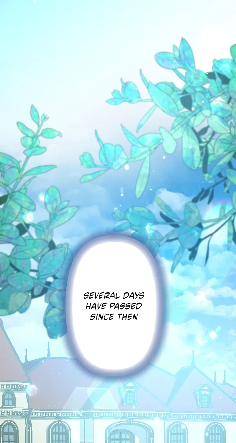 Blessed by Fate, Defiant in Love Chapter 43 page 61 - 