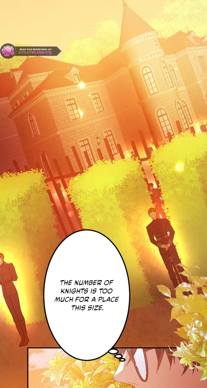Blessed by Fate, Defiant in Love Chapter 47 page 36 - 