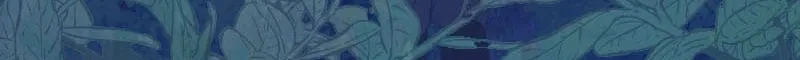Blessed by Fate, Defiant in Love Chapter 49 page 15 - 