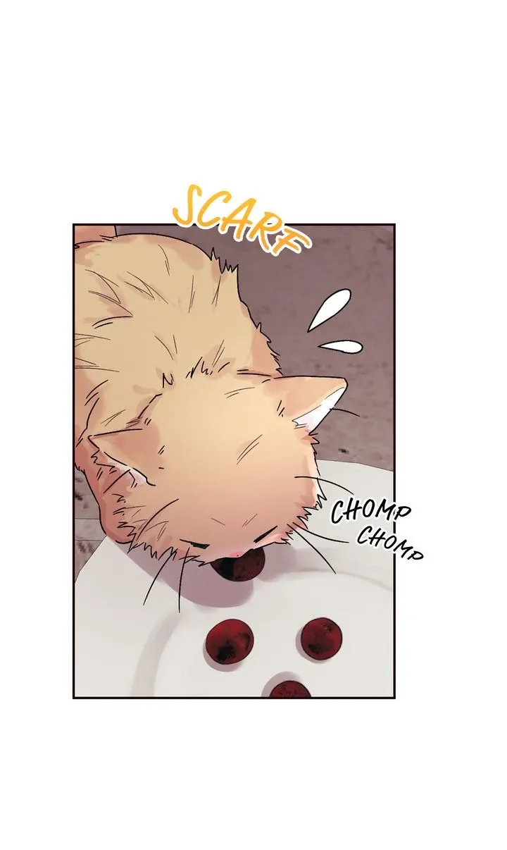 Blind Sheep House Chapter 13 page 18 - 