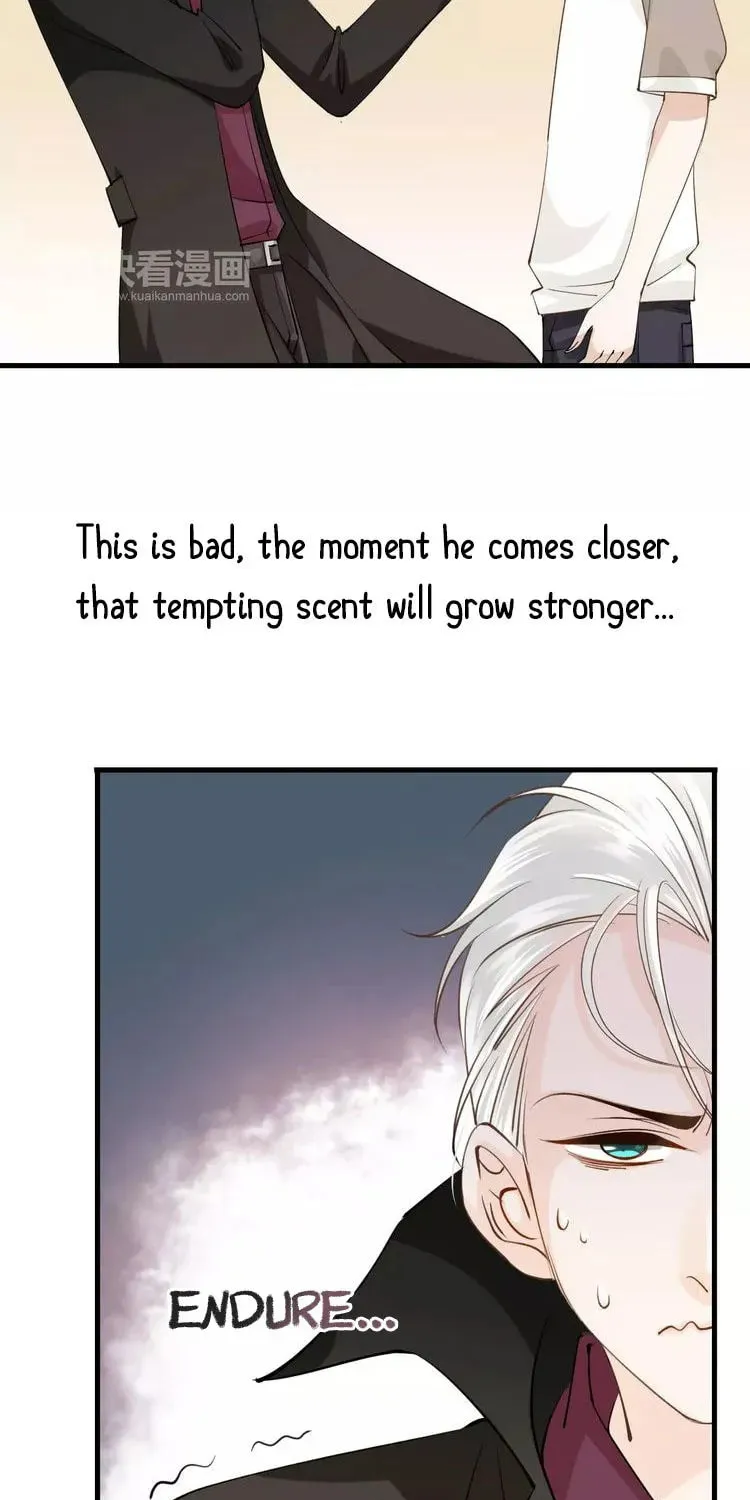 Bloody Kiss Chapter 12 page 5 - 