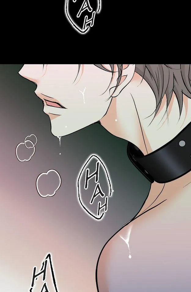 Bluffing Chapter 57.97 page 55 - 