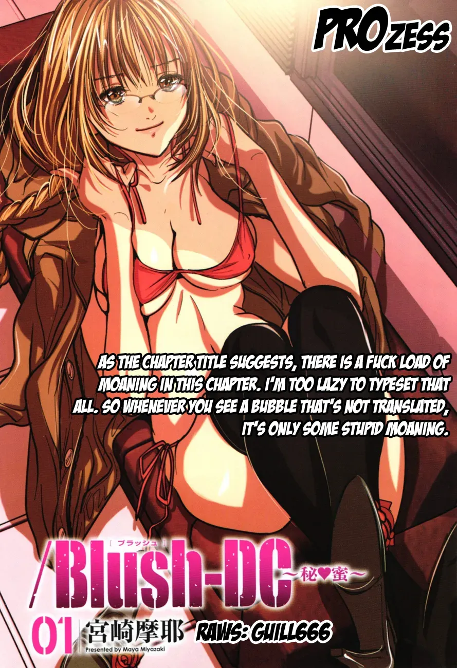 /Blush-DC: Hi♥mitsu Chapter 13 page 1 - 