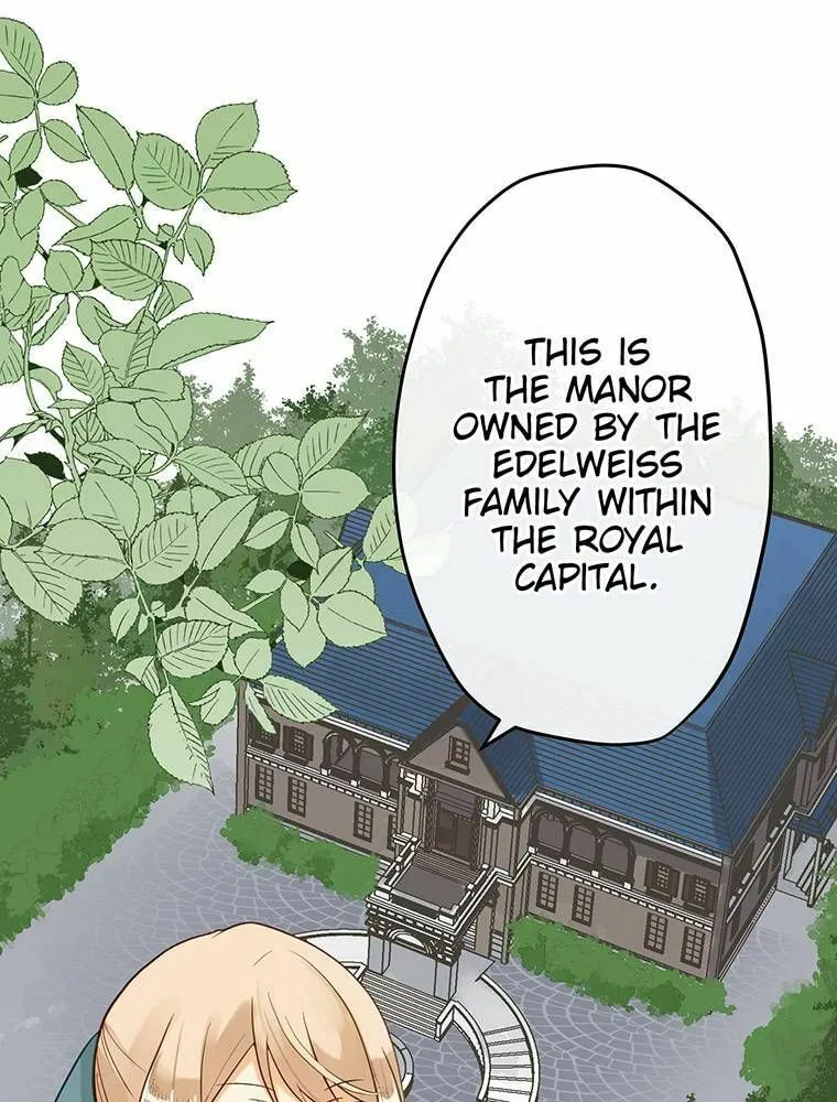 Boku no Konyakusha no Hanashi Chapter 39 page 17 - 