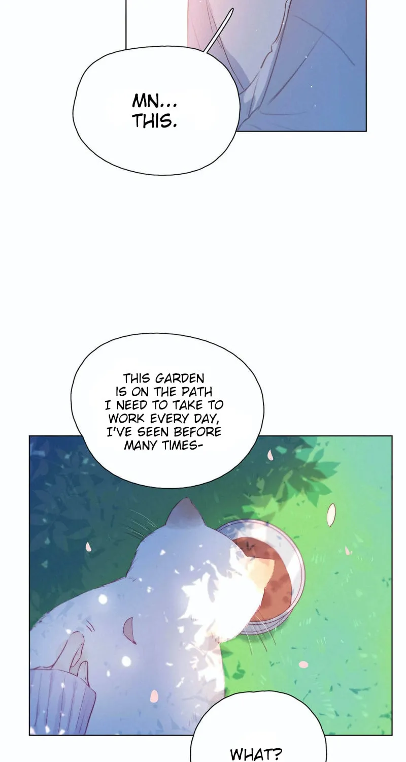Born Beauty Chapter 12 page 5 - 