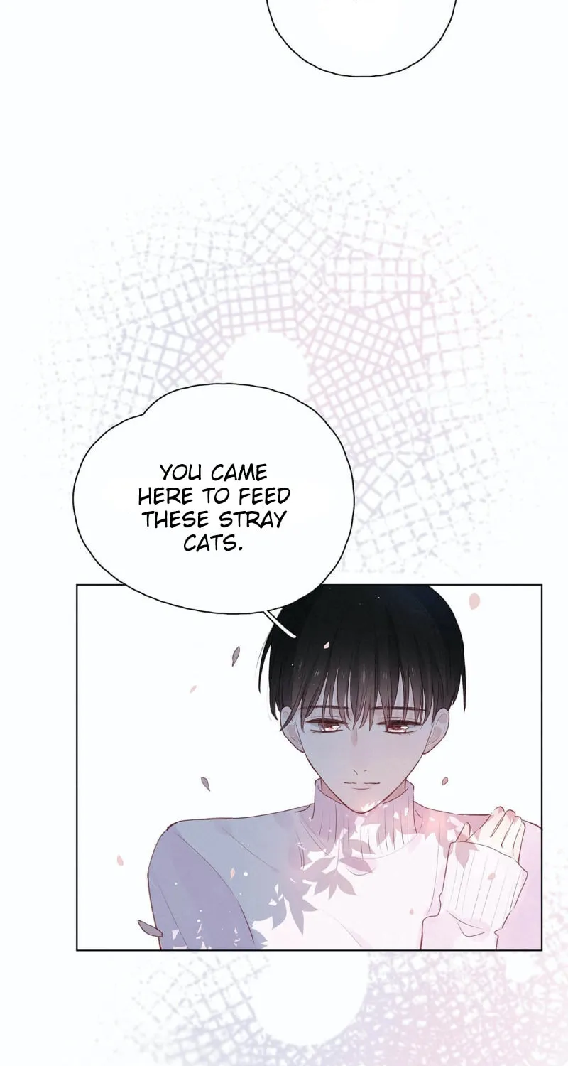Born Beauty Chapter 12 page 6 - 