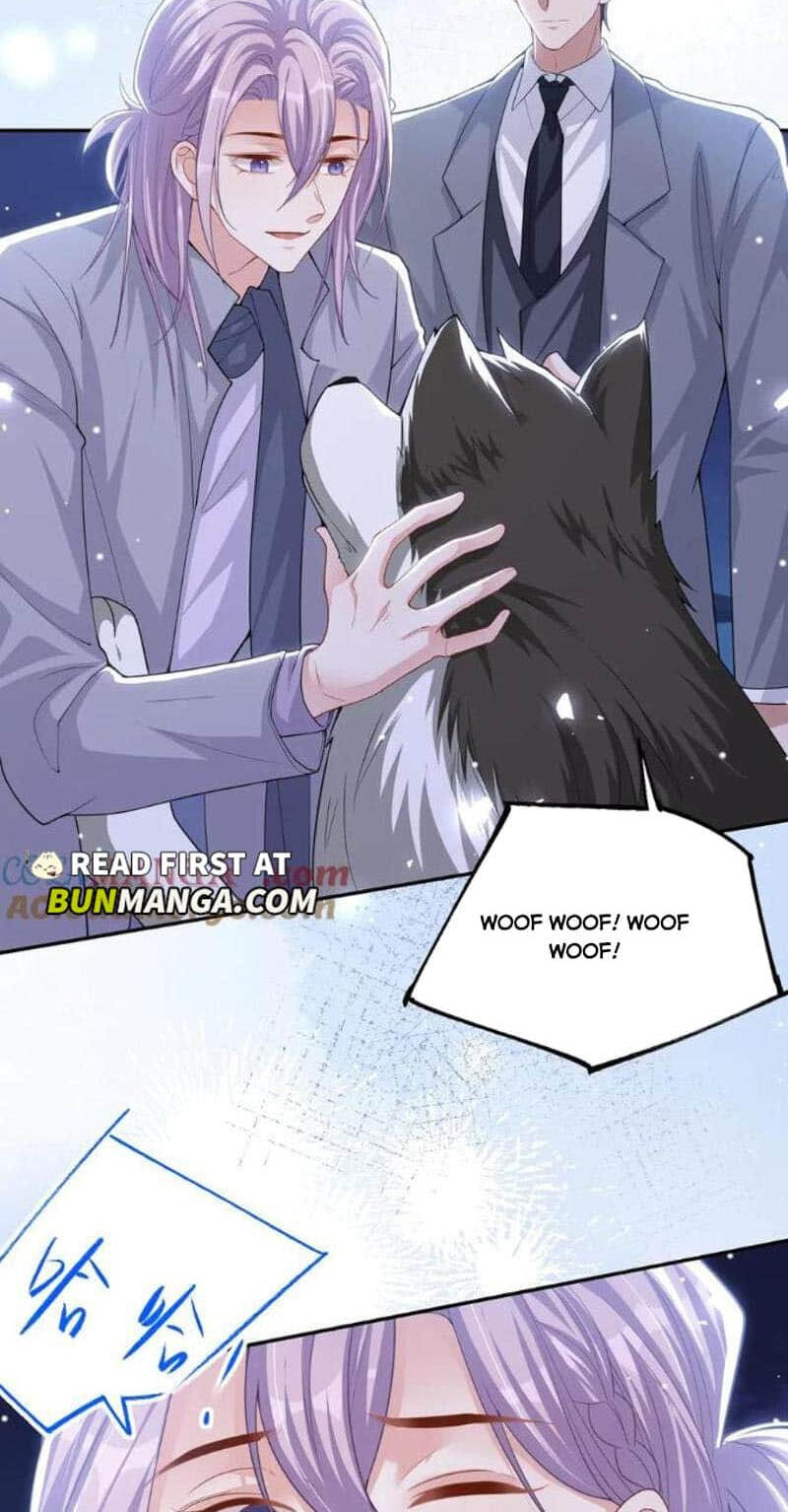 Borrowed hearts Chapter 197 page 25 - 