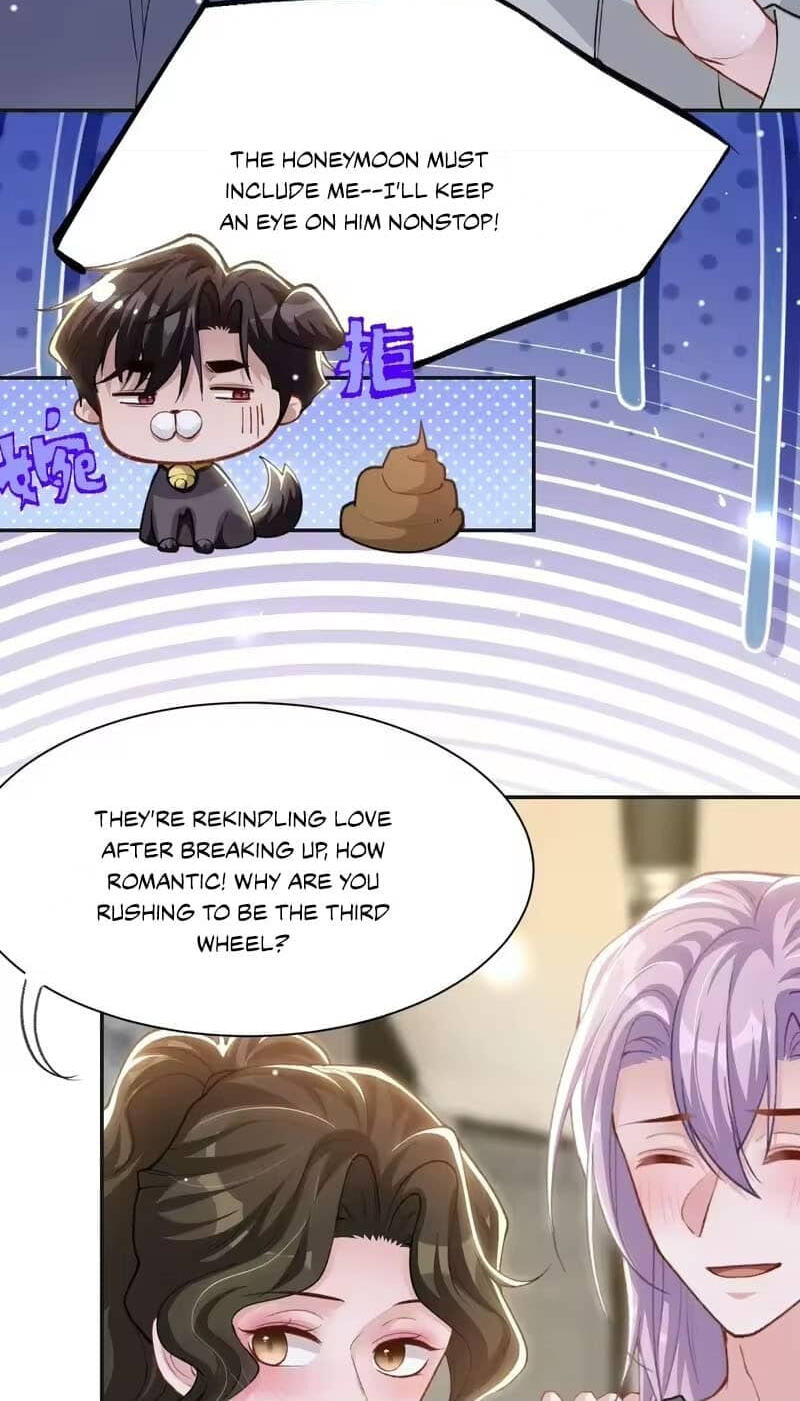 Borrowed hearts Chapter 247 page 7 - 