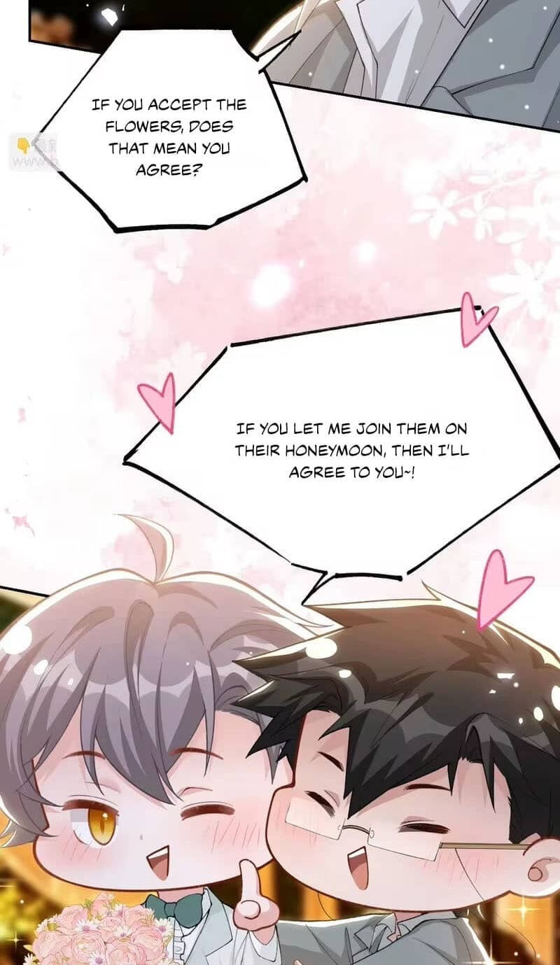 Borrowed hearts Chapter 259 page 12 - 