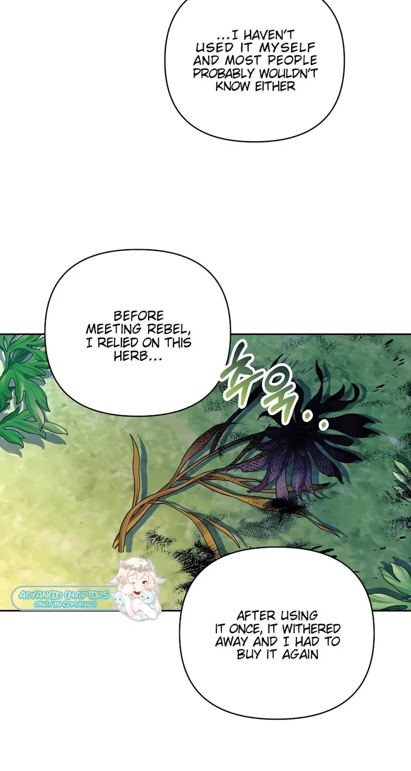 [Breaking News] Marriage with the Archduke, I Know Now Chapter 26 page 6 - 