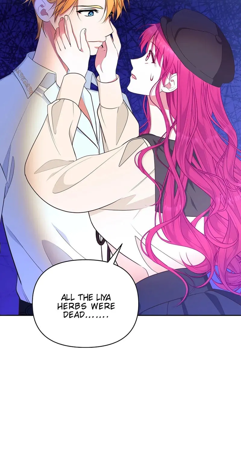 [Breaking News] Marriage with the Archduke, I Know Now Chapter 28 page 3 - 