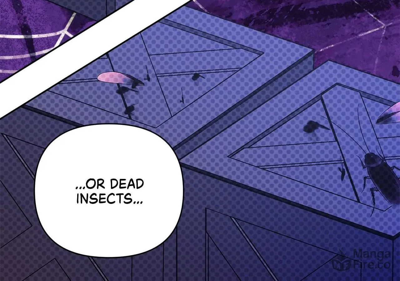 [Breaking News] Marriage with the Archduke, I Know Now Chapter 55 page 147 - 