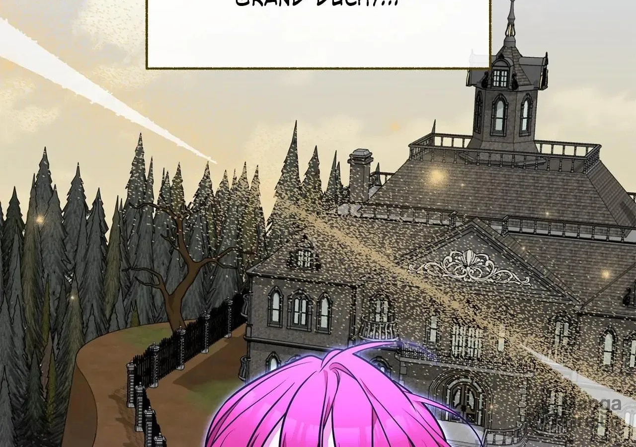 [Breaking News] Marriage with the Archduke, I Know Now Chapter 67 page 6 - 