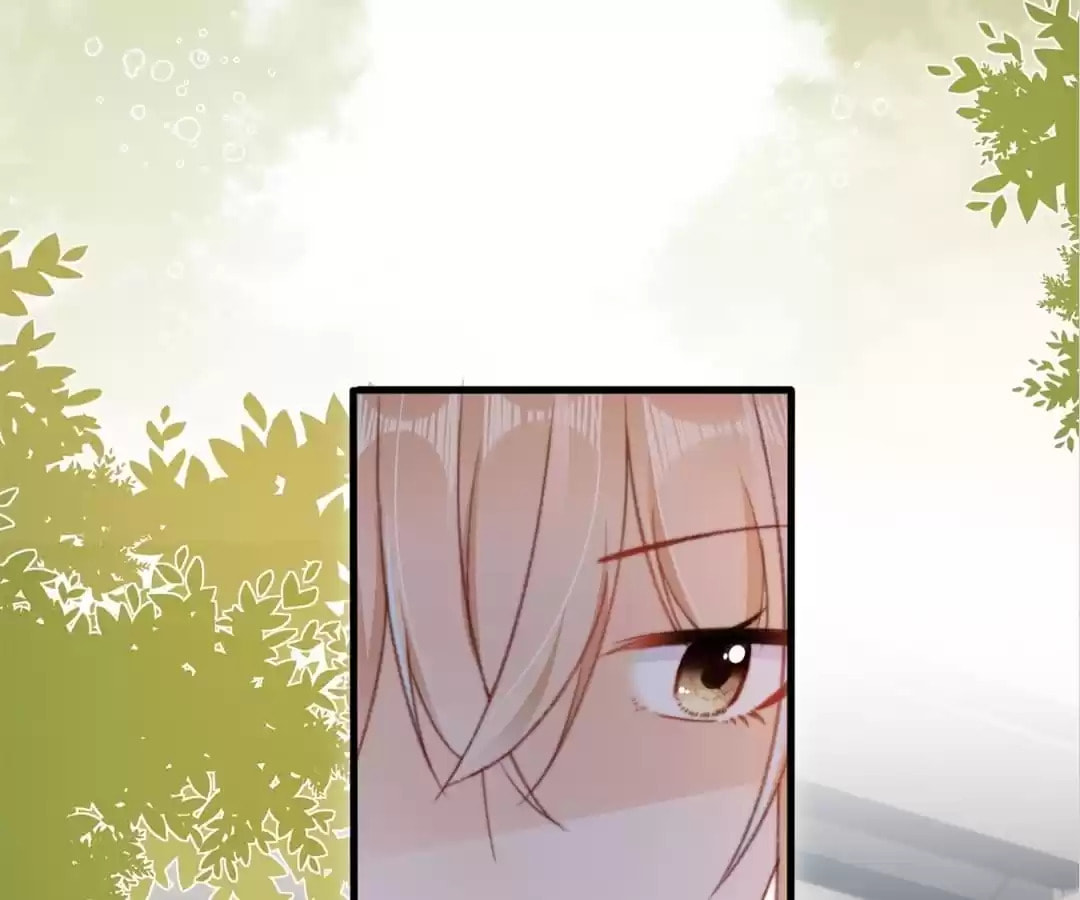 Breed Future Male Leads Chapter 61 page 81 - 