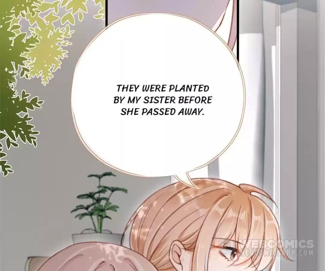 Breed Future Male Leads Chapter 62 page 18 - 