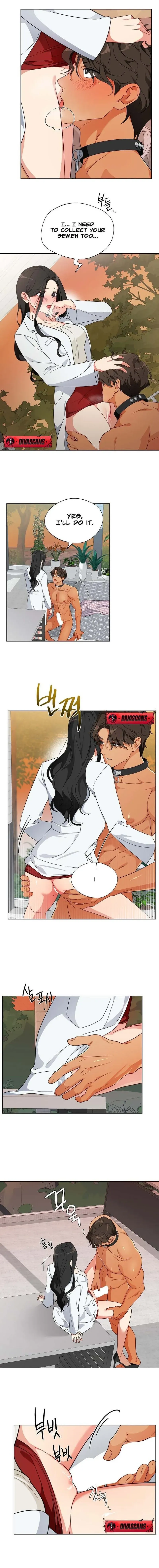 Breeding Protocol Chapter 3 page 2 - 