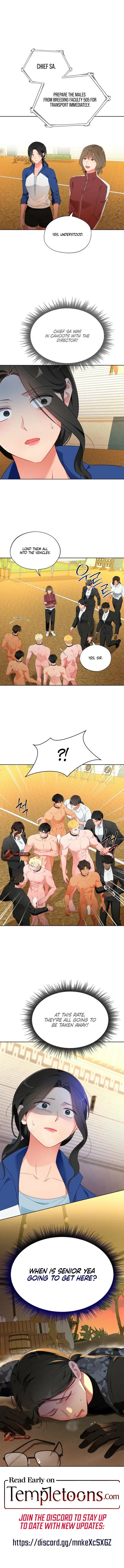Breeding Protocol Chapter 30 page 8 - 