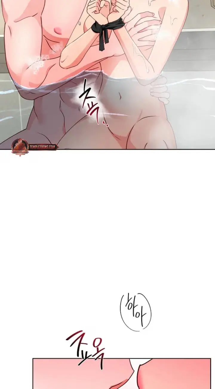 Breeding Protocol Chapter 36 page 25 - 