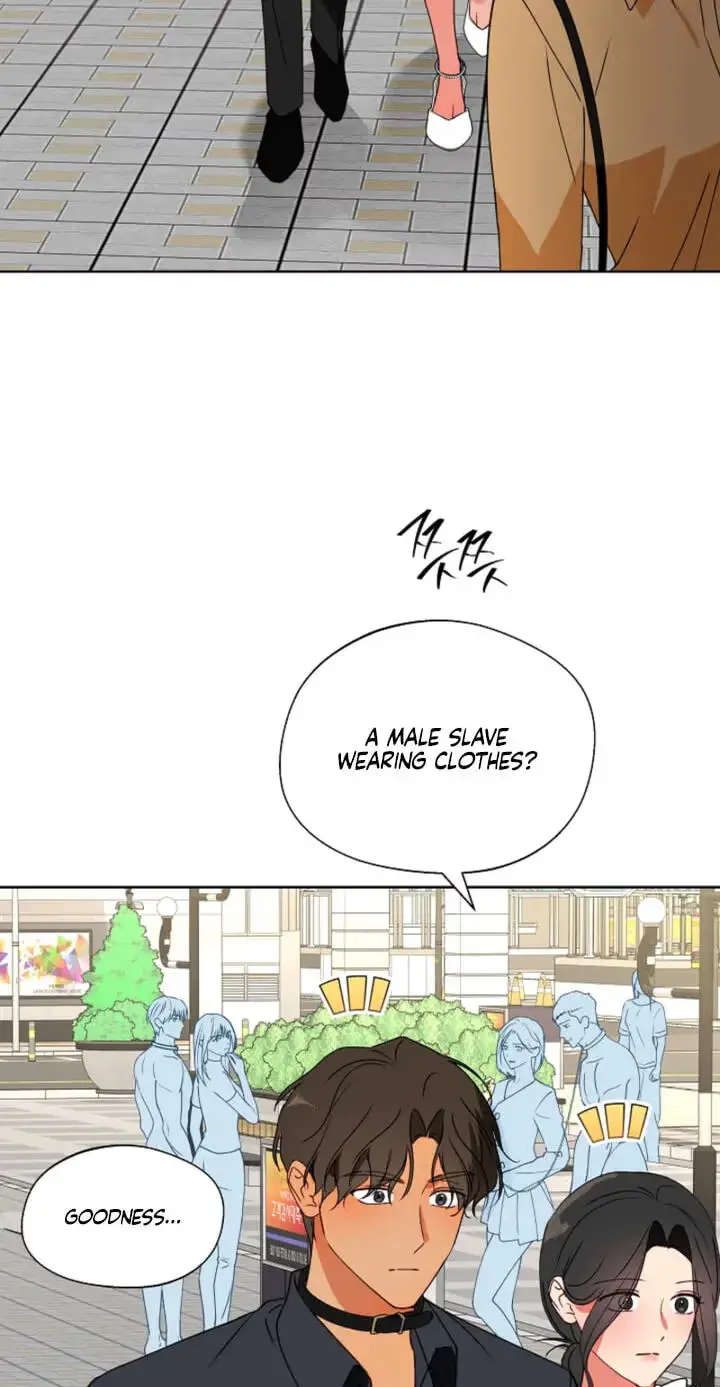 Breeding Protocol Chapter 37 page 34 - 