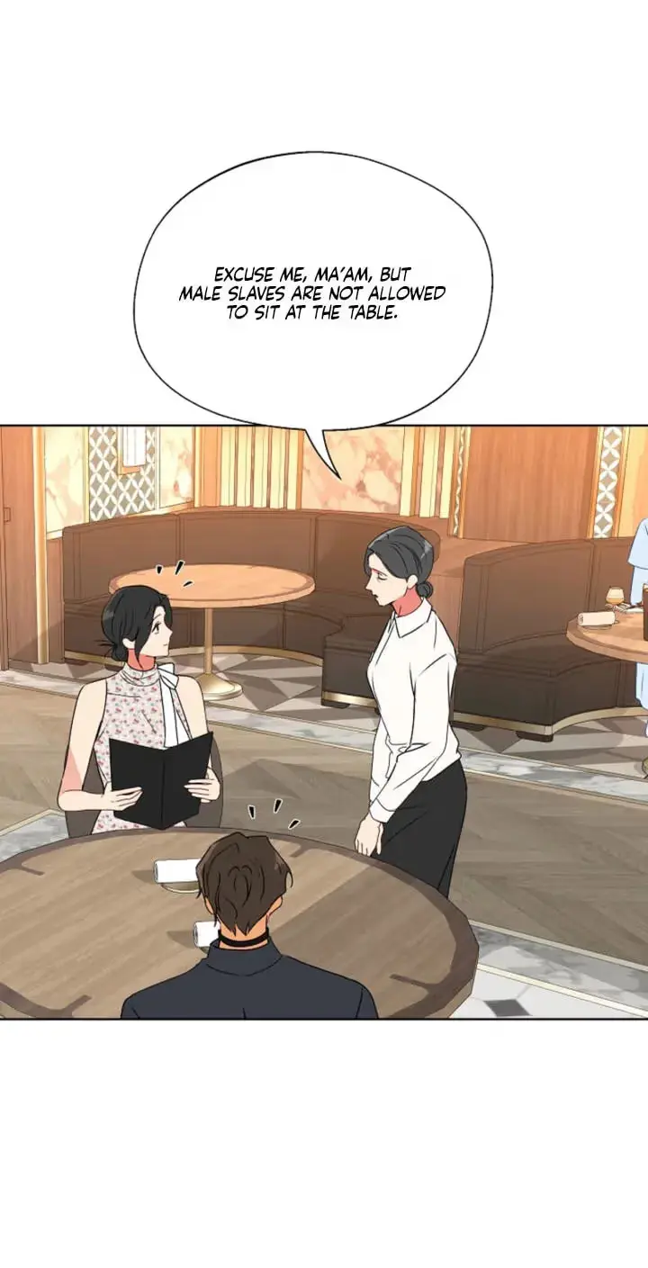 Breeding Protocol Chapter 37 page 43 - 