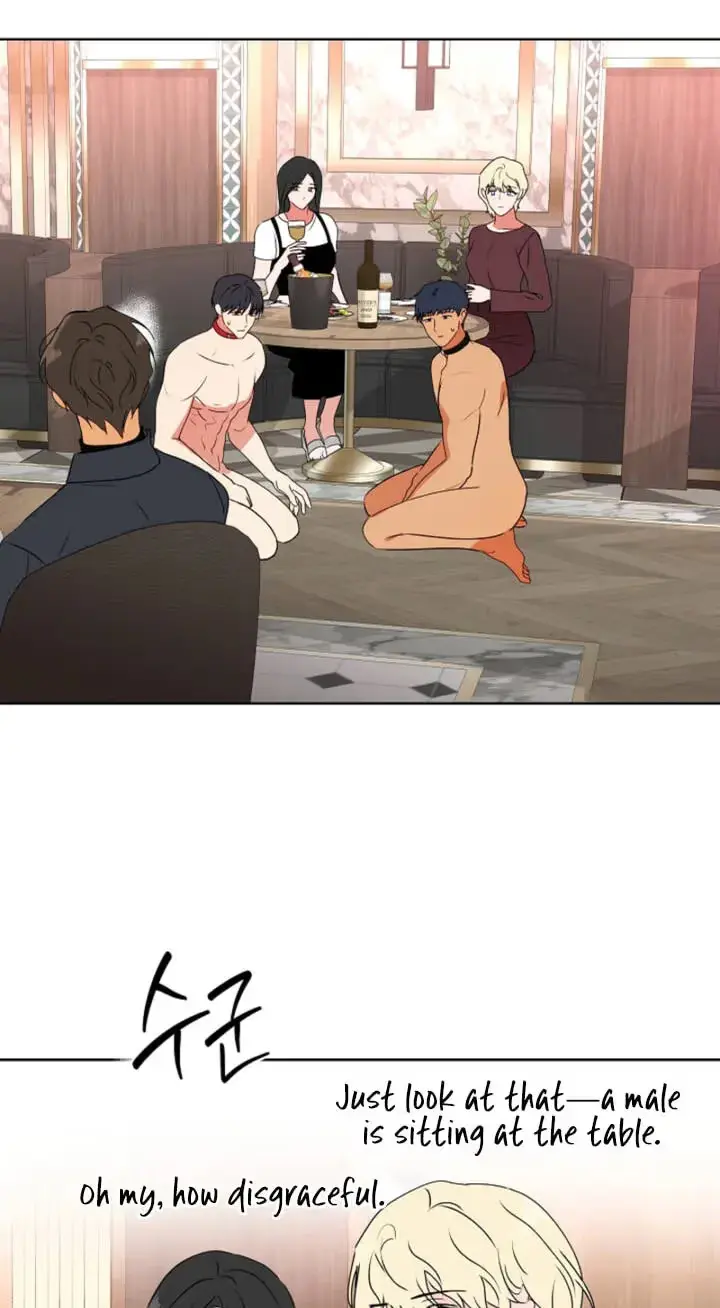 Breeding Protocol Chapter 37 page 45 - 