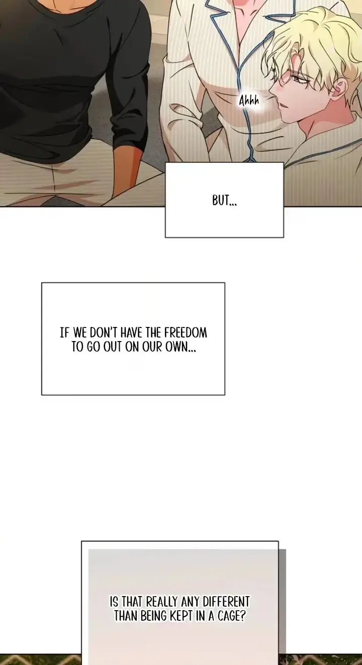 Breeding Protocol Chapter 38 page 30 - 