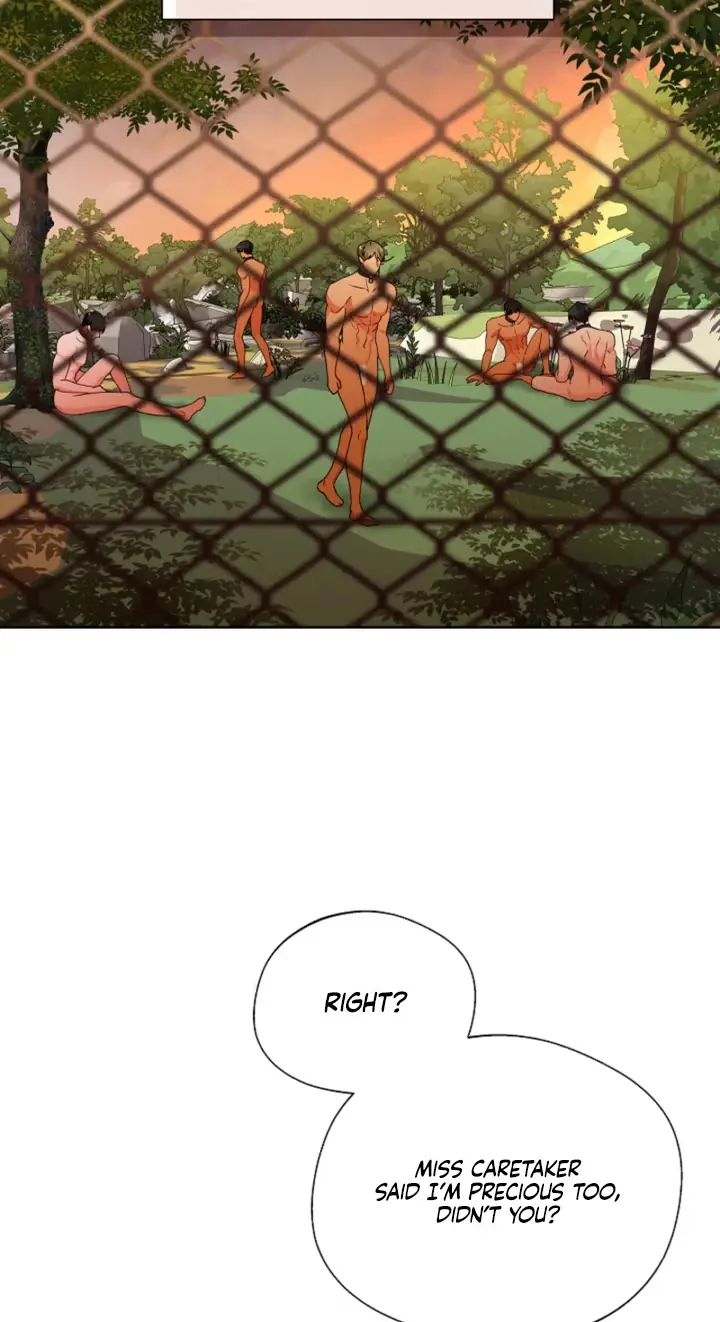 Breeding Protocol Chapter 38 page 31 - 