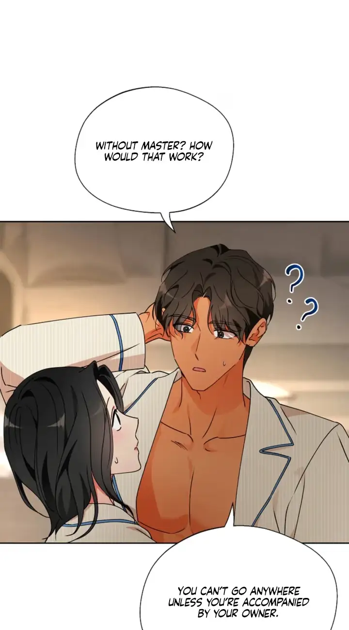 Breeding Protocol Chapter 38 page 39 - 