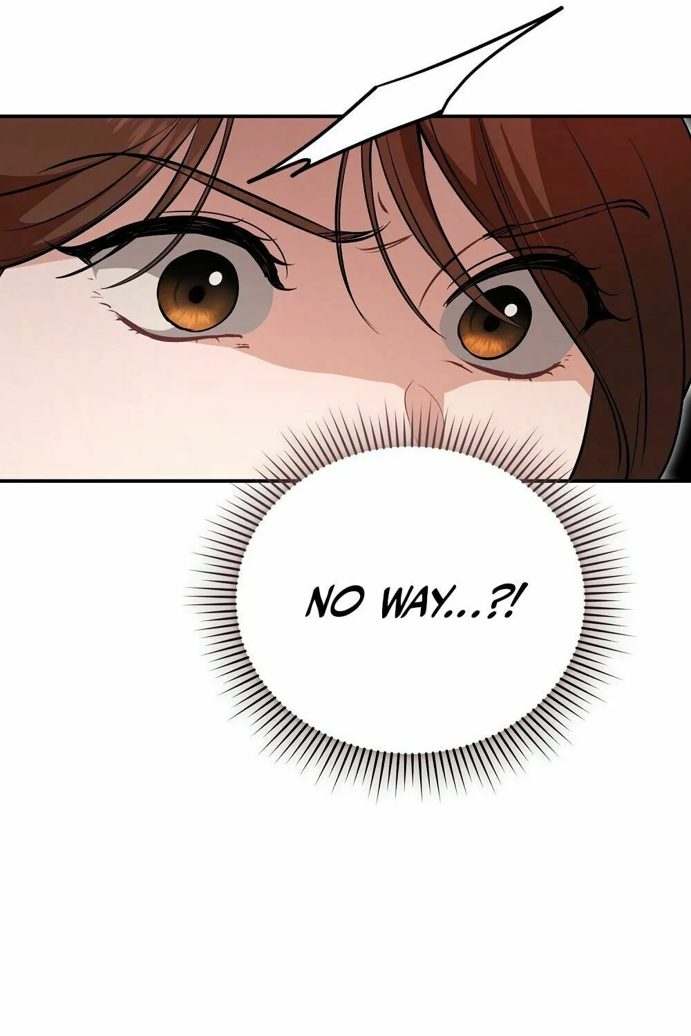 Briefing Chapter 23 page 109 - 