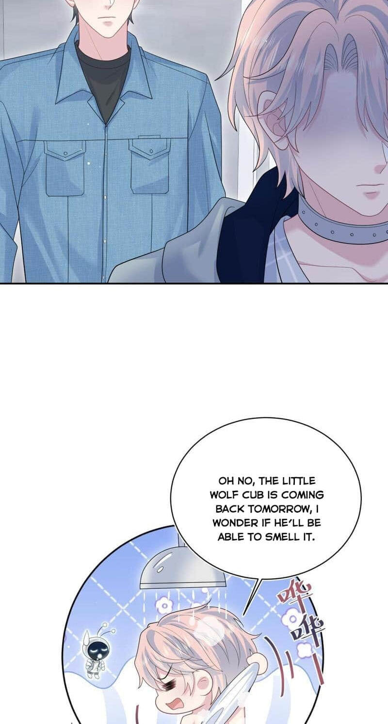 Brilliantly Beautiful White Lotus Teaching Online Chapter 416 page 35 - 