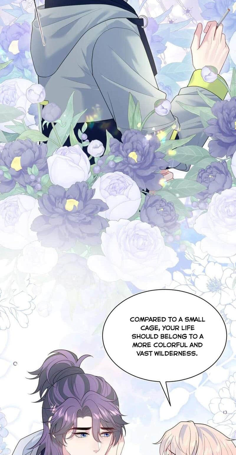 Brilliantly Beautiful White Lotus Teaching Online Chapter 427 page 4 - 