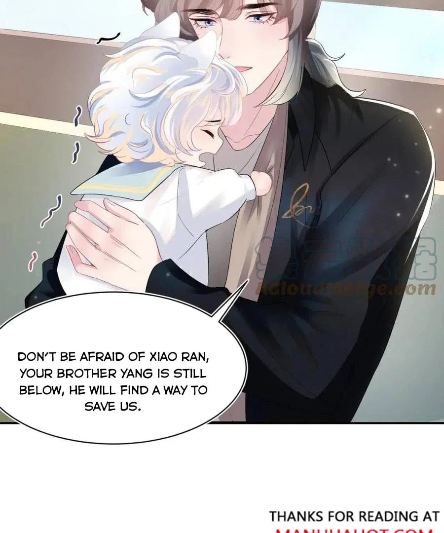 Brilliantly Beautiful White Lotus Teaching Online Chapter 70 page 43 - 