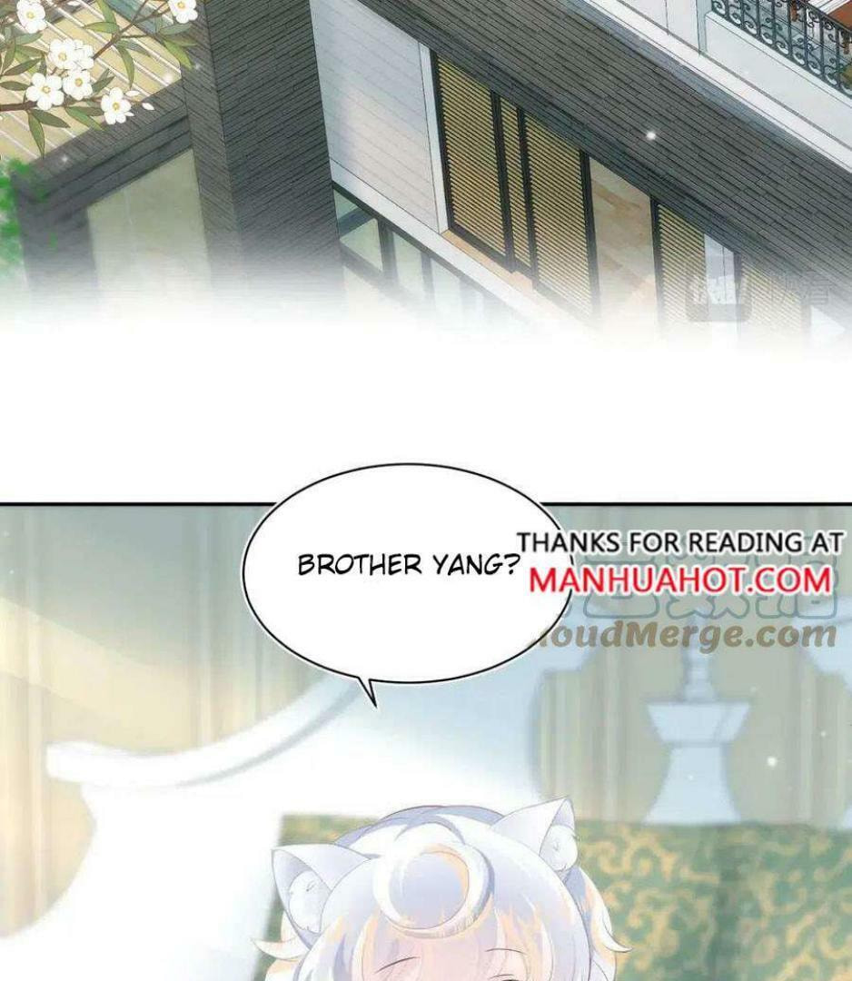 Brilliantly Beautiful White Lotus Teaching Online Chapter 74 page 56 - 