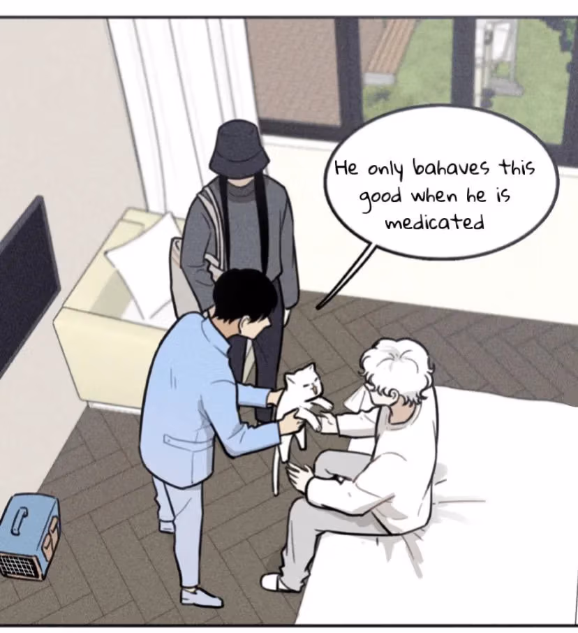 Bruise Chapter 11 page 11 - 