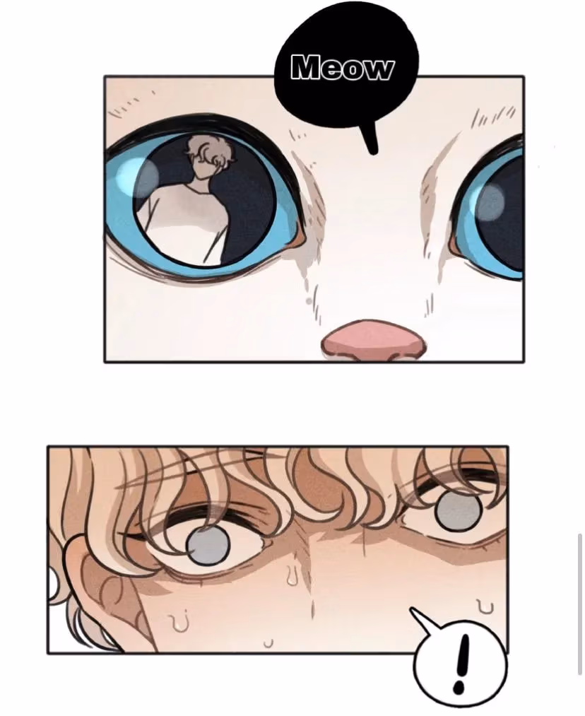 Bruise Chapter 11 page 31 - 