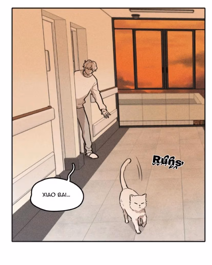 Bruise Chapter 11 page 33 - 