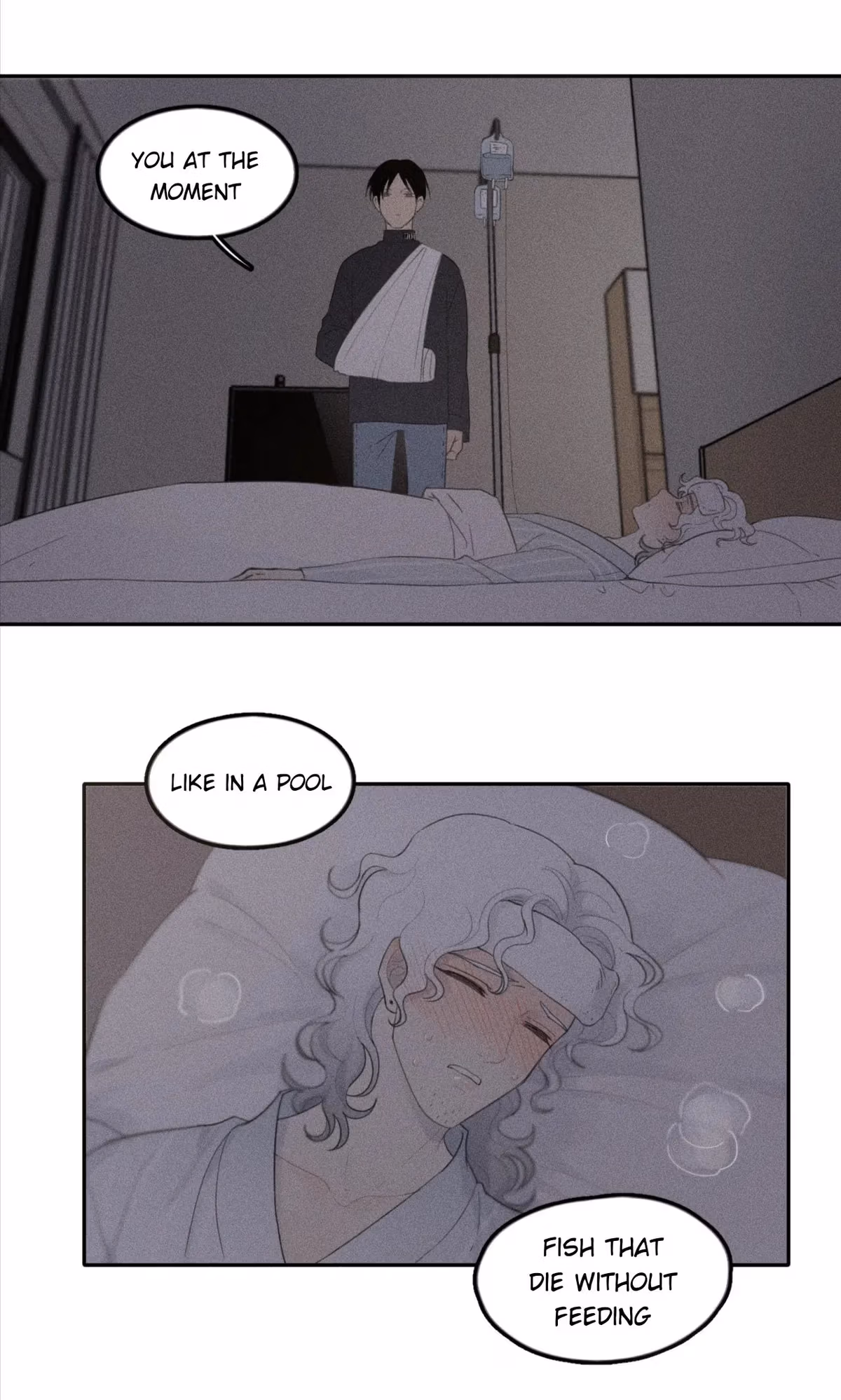 Bruise Chapter 27 page 52 - 