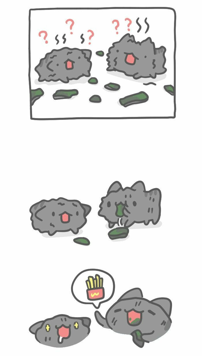 BugCat-Capoo (Colored) Chapter 503 page 5 - 