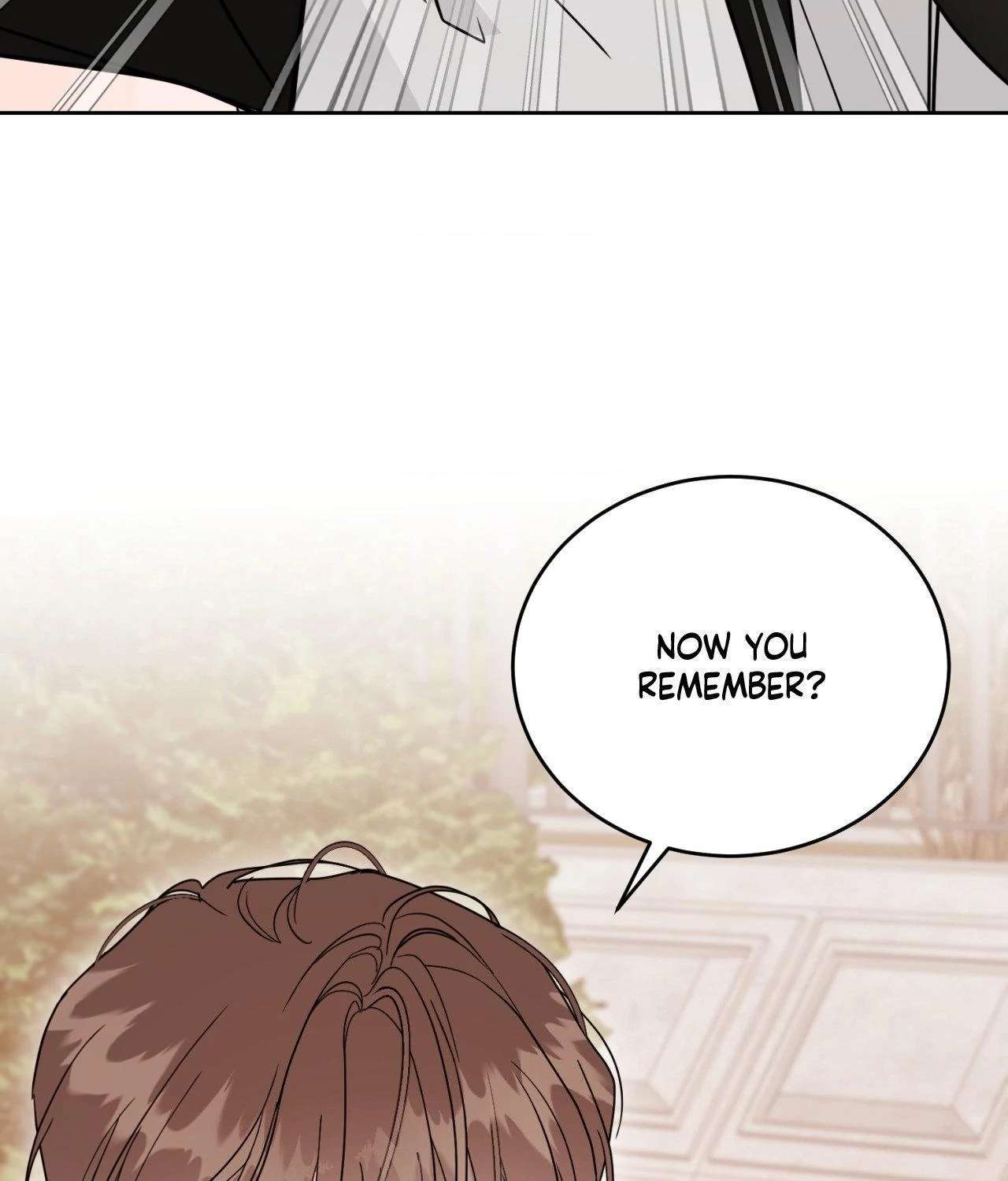 But I Already Romanced Him! Chapter 13 page 25 - 