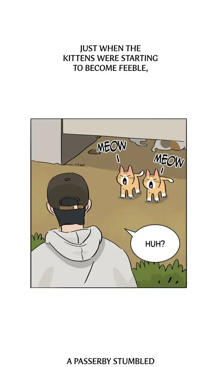 By My Side Chapter 26 page 14 - 