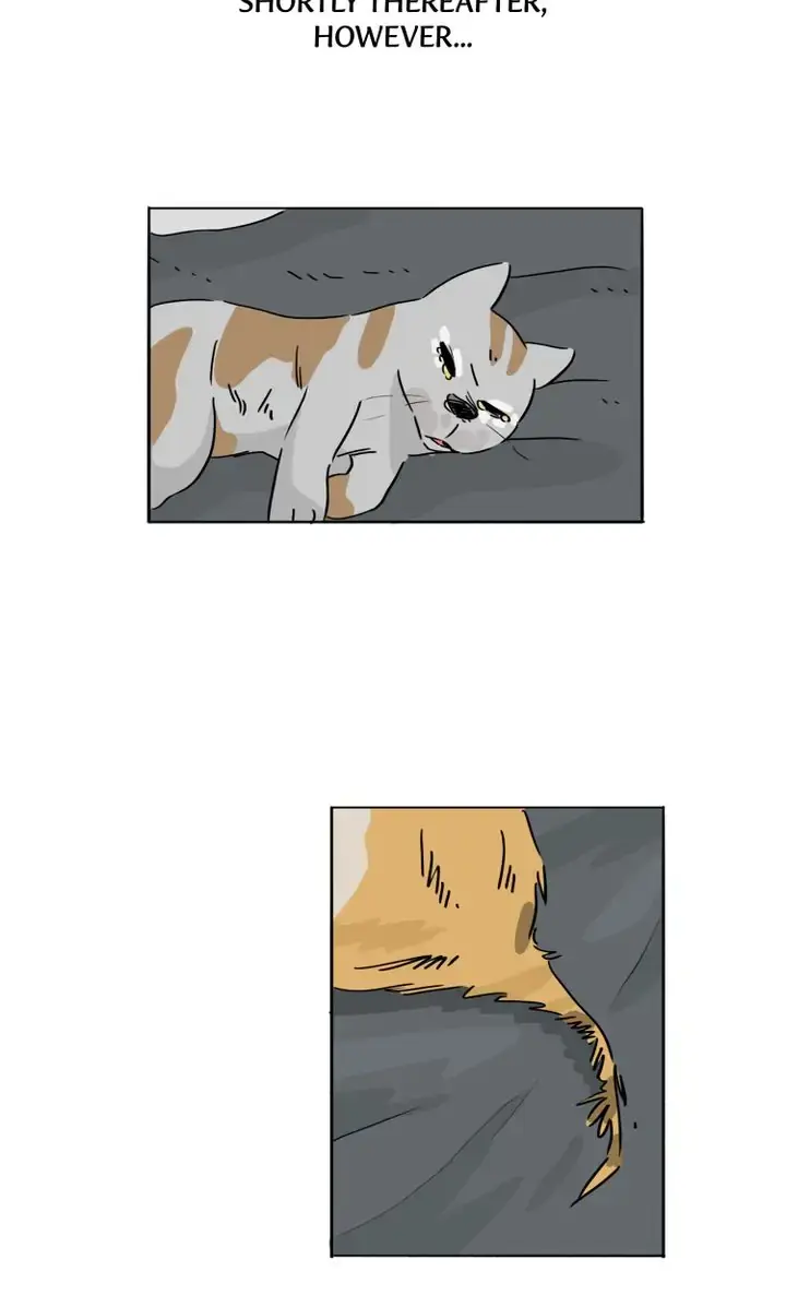 By My Side Chapter 26 page 17 - 