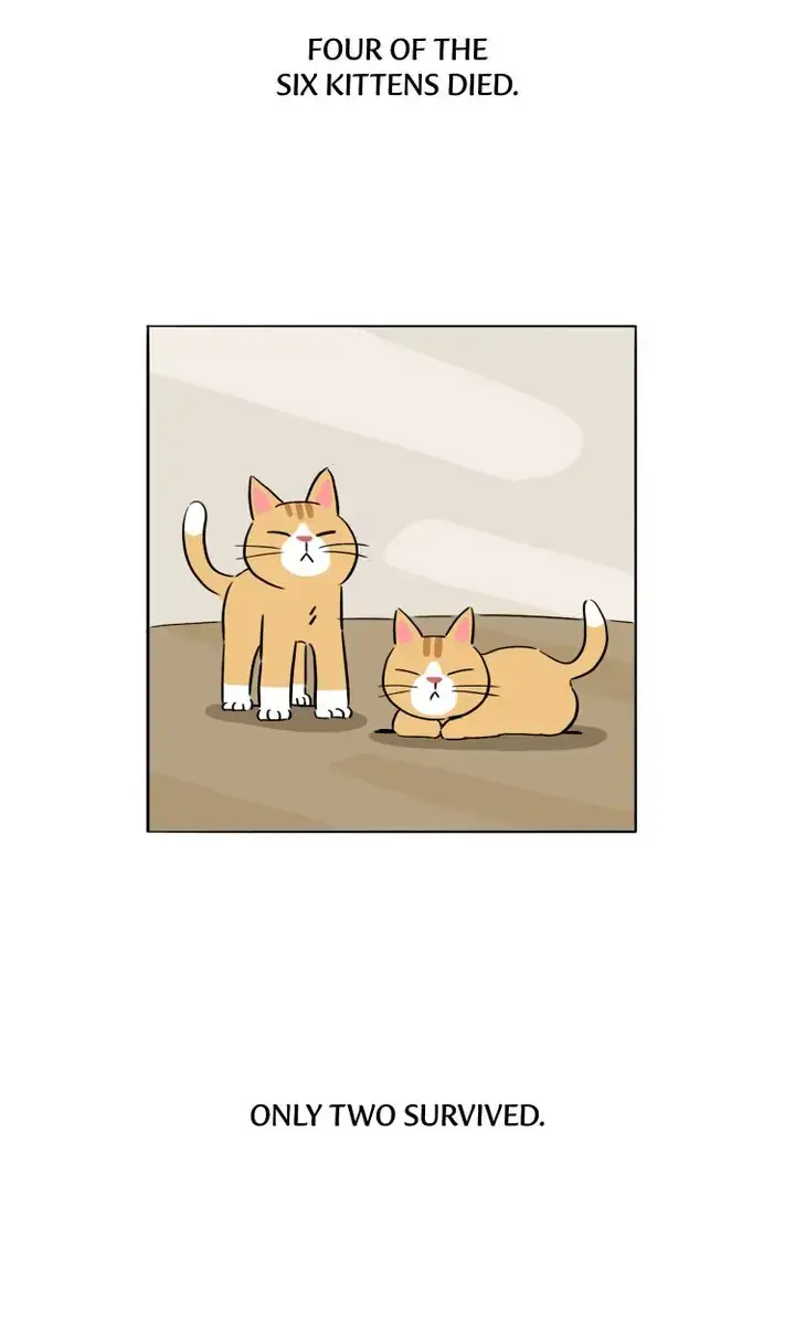By My Side Chapter 26 page 19 - 