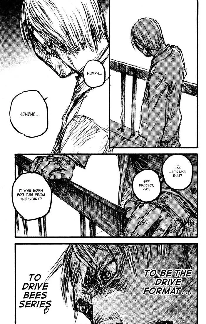 C.A.T. Chapter 17 page 15 - 