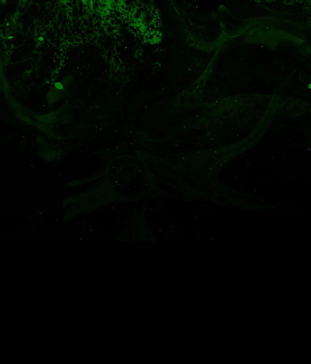 Caladrius Chapter 3 page 161 - 